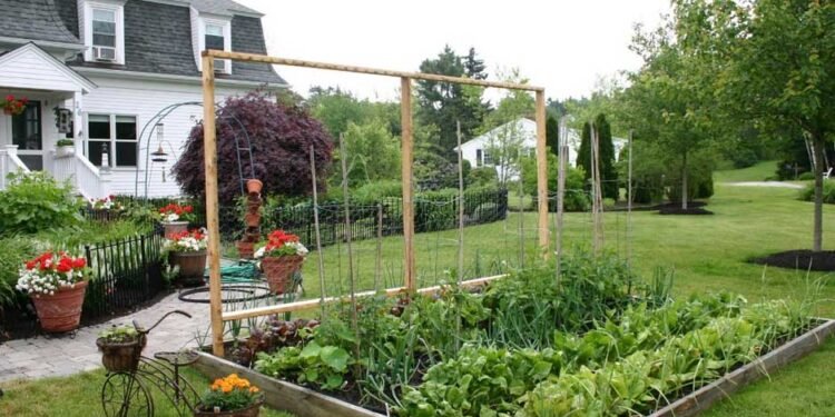 Homeowners To Safeguard Their Yards And Gardens