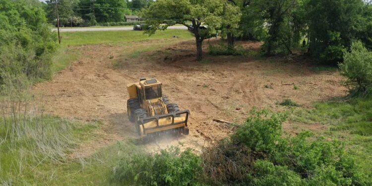 Land Clearing in Athens