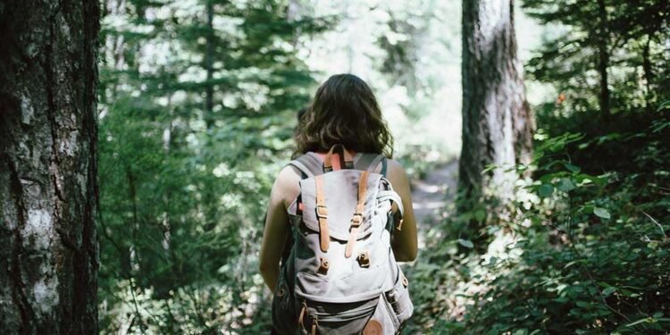 Finding the Best Places To Eat in Maine