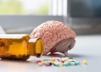 The Brain's Abuse in Drug Addiction