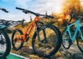 A-Comprehensive-Guide-to-Different-Types-and-Their-Uses