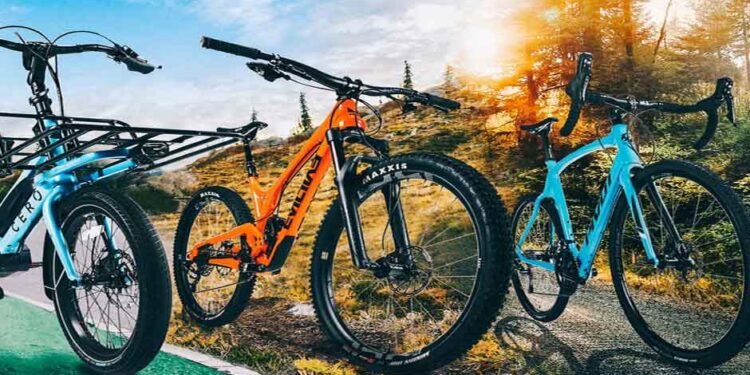 A-Comprehensive-Guide-to-Different-Types-and-Their-Uses