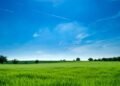 Navigating Zoning Laws and Regulations When Buying Parcel of Property