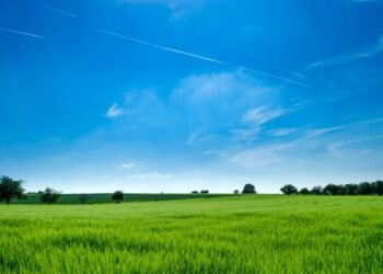Navigating Zoning Laws and Regulations When Buying Parcel of Property
