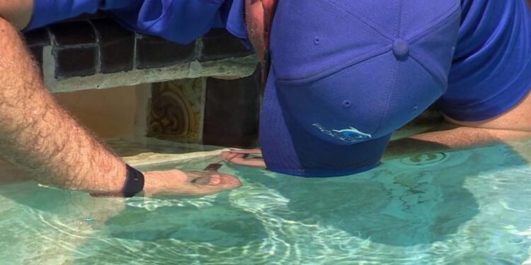 Repair a Leak in My Swimming Pool