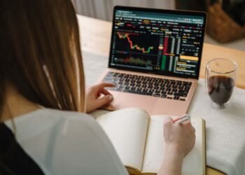 Safety Measures of Professional Trading Platforms for Newcomers