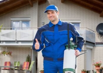 01-Texas pest control solutions