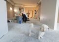 6 Tips for Renovating Your Home on a Tight Schedule