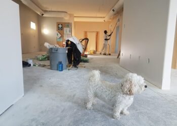 6 Tips for Renovating Your Home on a Tight Schedule