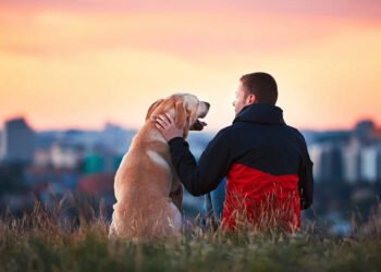 Dog Ownership