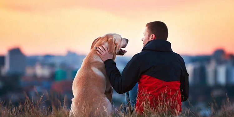 Dog Ownership