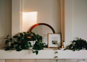 Gen-zers guide to designing a sustainable home