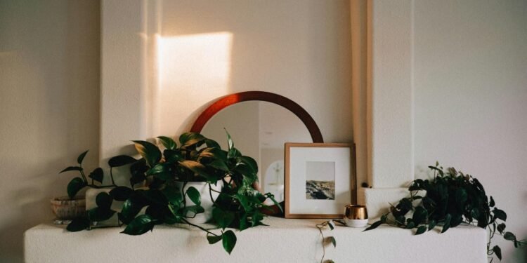 Gen-zers guide to designing a sustainable home