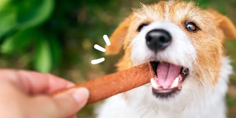 Natural Treats for Your Dog