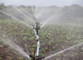 The Role of Sprayer Pumps in Sustainable Agriculture Practices
