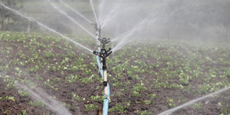 The Role of Sprayer Pumps in Sustainable Agriculture Practices