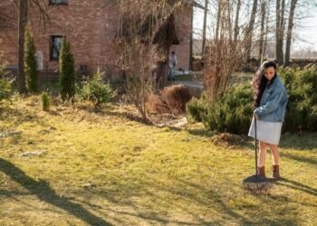 Why Turf Grass is the Future of Sustainable Landscaping
