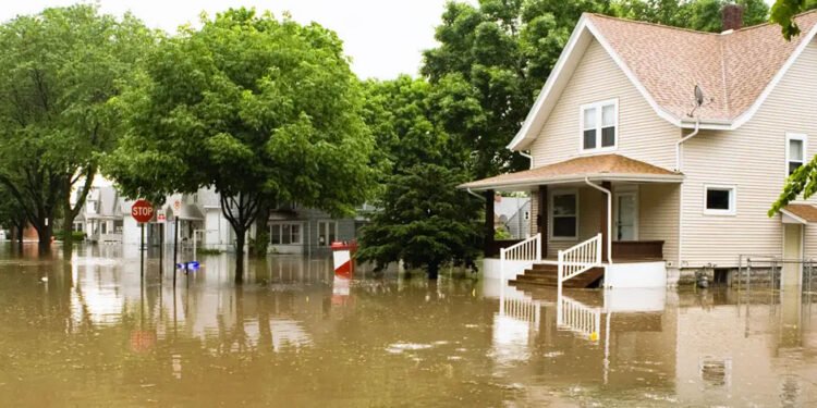 4 Steps to Prepare Your Home for Natural Disasters