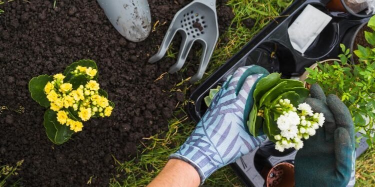 Essential Gardening Tips For Beginners And Experts