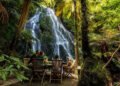 Plan a Perfect Weekend Getaway in Auckland