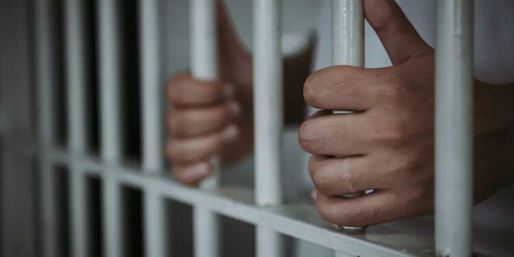 Prison Reform to Combat Sexual Assault