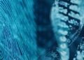 The-Importance-of-Immune-Cell-Profiling-in-Modern-Medicine