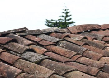 Top 5 Signs Your Roof Needs Repair