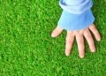 Artificial Turf vs. Natural Grass