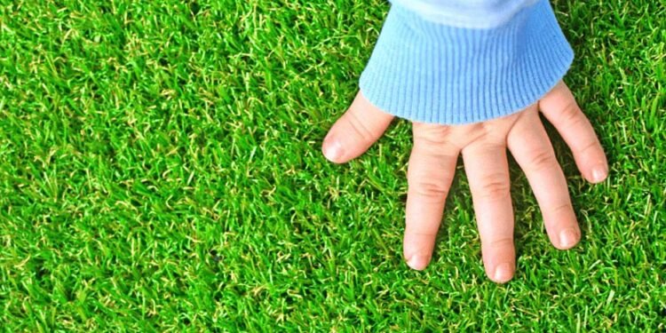 Artificial Turf vs. Natural Grass
