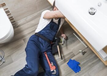 DIY vs. Professional Plumbing Repair Services