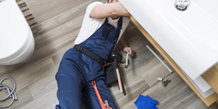 DIY vs. Professional Plumbing Repair Services