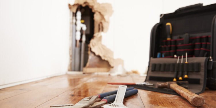 From Damage to Restoration