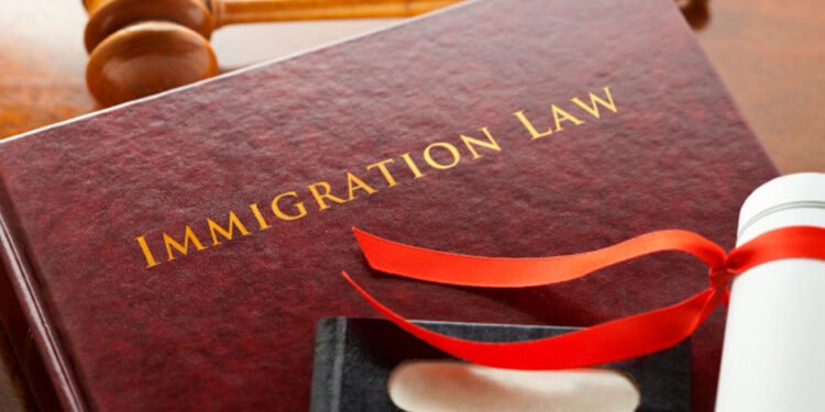 Immigration Attorney in Navigating U.S. Citizenship