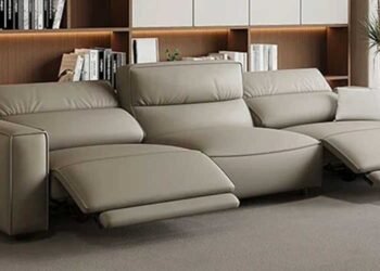 Pros-and-Cons-of-Choosing-a-Two-Seater-Leather-Sofa