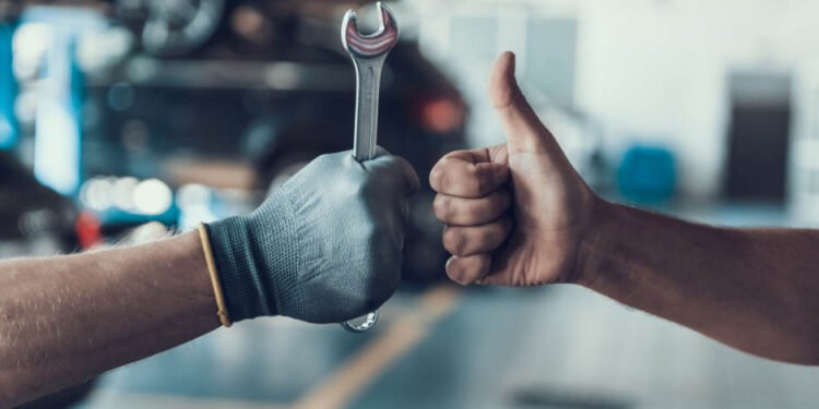 Storage and Long-Term Maintenance
