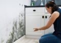 The Long-Term Effects of Mold on Your Home