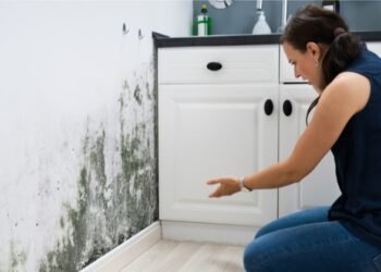 The Long-Term Effects of Mold on Your Home