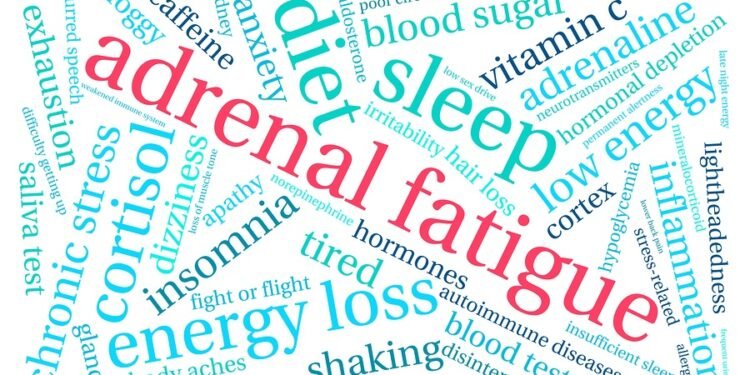 Adrenal fatigue word cloud on a white background.