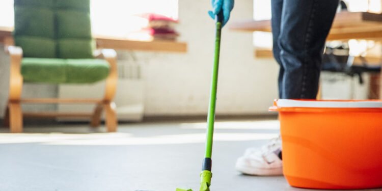 Dublin Professional Cleaners