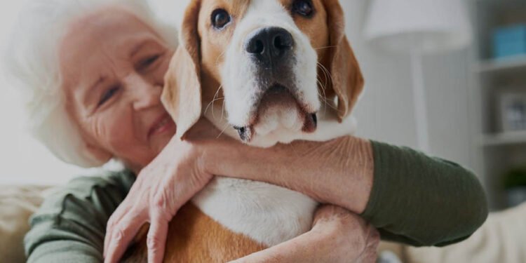 Finding the Perfect Senior Apartments
