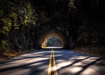 Essential Tips for Planning a Fun-Filled Family Trip