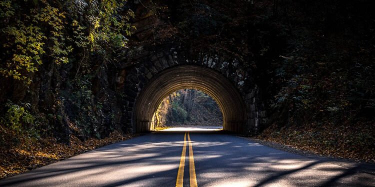 Essential Tips for Planning a Fun-Filled Family Trip