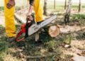 How-to-Choose-the-Right-Logging-Machine-for-Your-Business