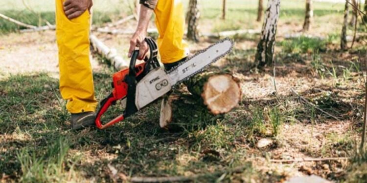 How-to-Choose-the-Right-Logging-Machine-for-Your-Business