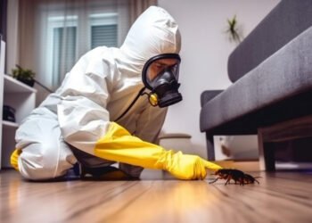 How to Spot Pest Infestation Like a Pro