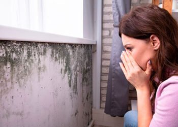 Mold Smell in Houses