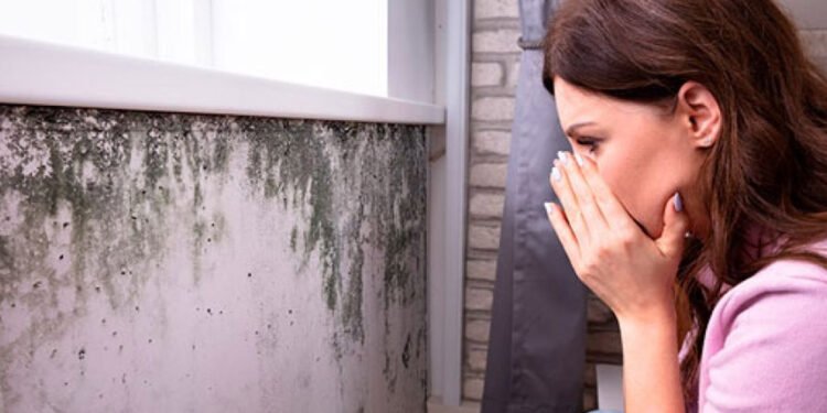 Mold Smell in Houses