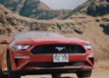 Renewing Your Vehicle License