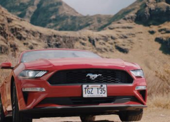 Renewing Your Vehicle License