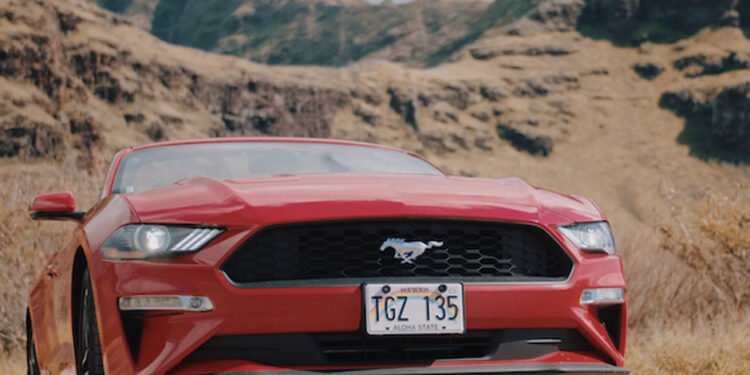 Renewing Your Vehicle License